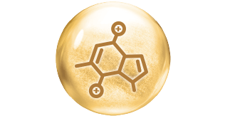 DHA、葉黃素、膽素 加乘學習力
